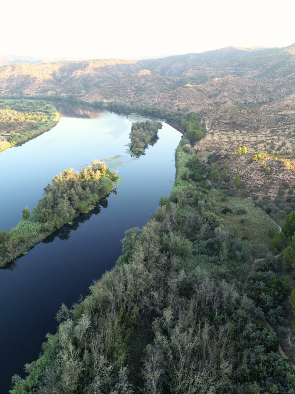 Vistes Illes del meandre de Riba-roja d'Ebre
